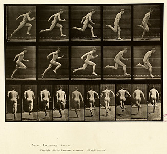 15 - Vol 1 - Plate 68